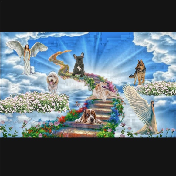 Meet your Posher - Picture 2 of 6